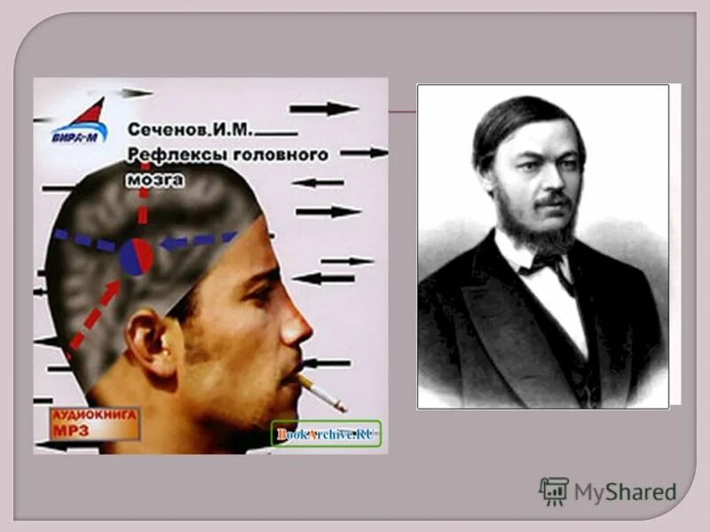 Сеченов рефлексы головного. Сеченов рефлексы головного книга. Сеченов труд рефлексы головного мозга. Рефлексы головного мозга Сеченова.