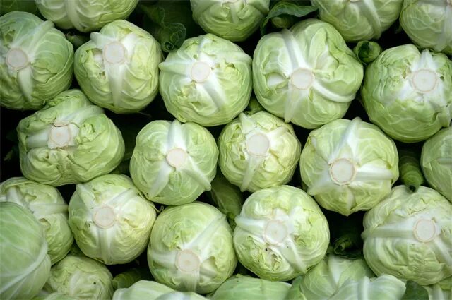 Brussels Sprouts Seeds - Long Island Improved Vegetable Seeds in Packets & Bulk 