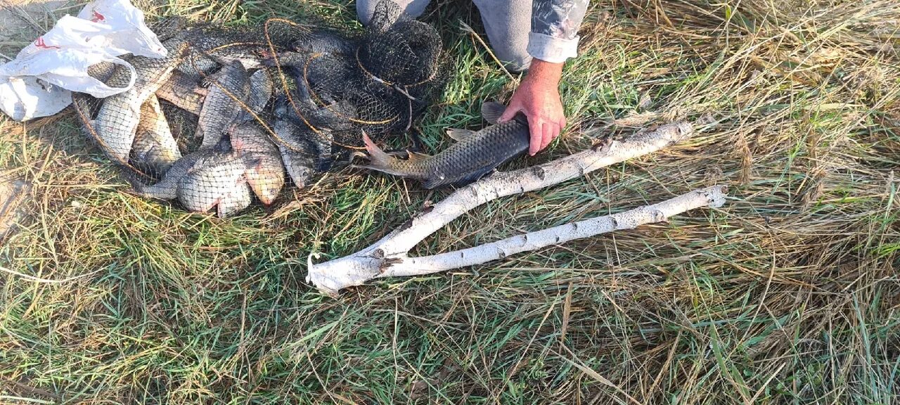 Погода на сартлане новосибирской