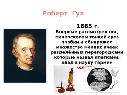 Гук вклад в биологию