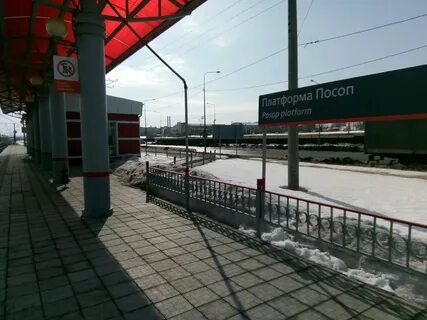 Круглосуточная жд