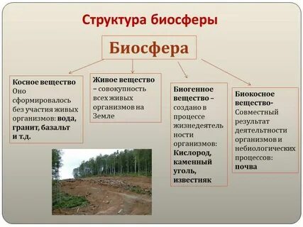 Область без жизни