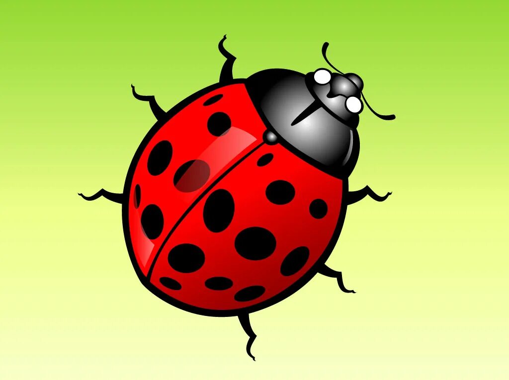 Bug picture for kids на прозрачном фоне. Божья коровка на прозрачном фоне. Божья коровка мультяшная. Ladybug божья коровка. Насекомые для детей на прозрачном фоне.