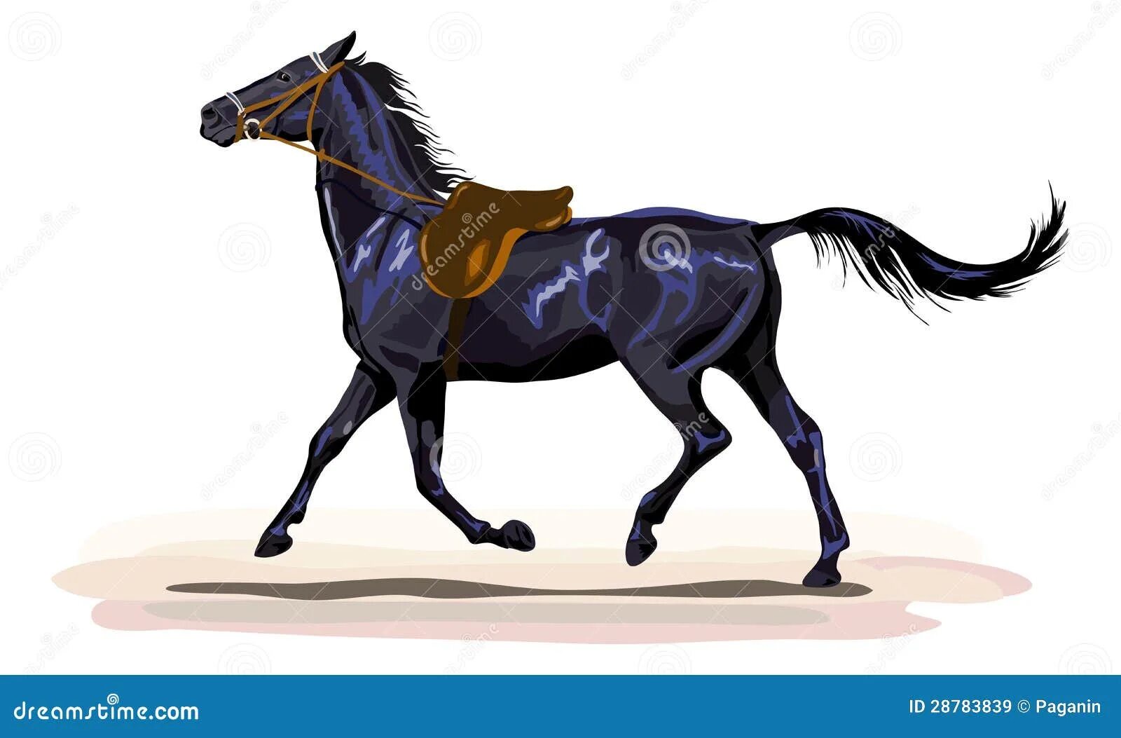 Куда идет лошадь. Белый конь. Конь идущий вперед. Лошадь идет рисунок. Конь шагает.