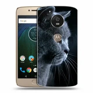 Cat s 0