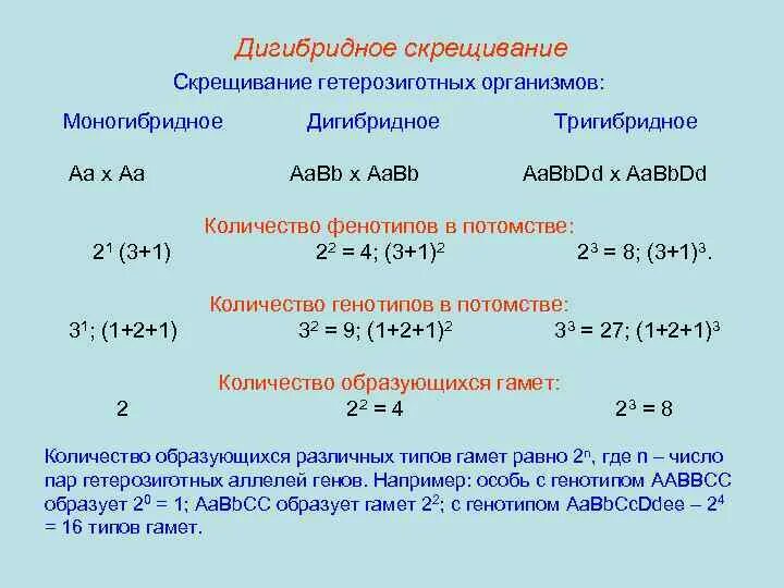 Генотип ааввсс образует гаметы. Типы гамет при тригибридном скрещивании. Тригибридное скрещивание. Расщепление при скрещивании тригетерозигот. Дигибридное гетерозиготное скрещивание.