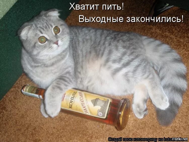 Я пью все то где есть