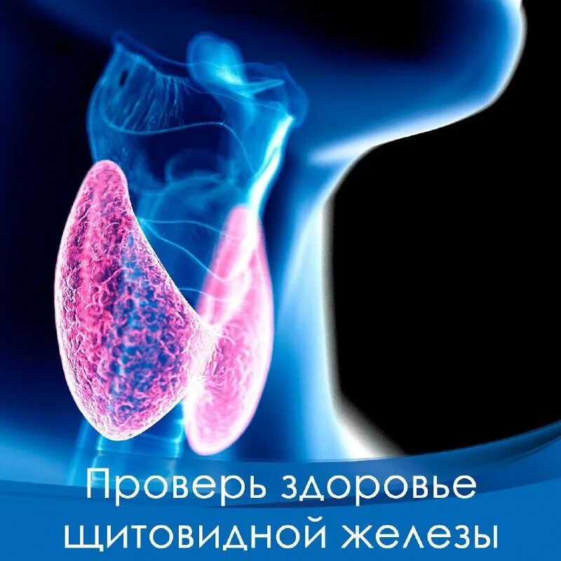 добрый доктор рязань улица есенина. клиника добрый доктор ряжск. г рязань ул есенина д 9. мегаклиника курск димитрова 76 врачи. мегаклиника рязань есенина телефон регистратуры.