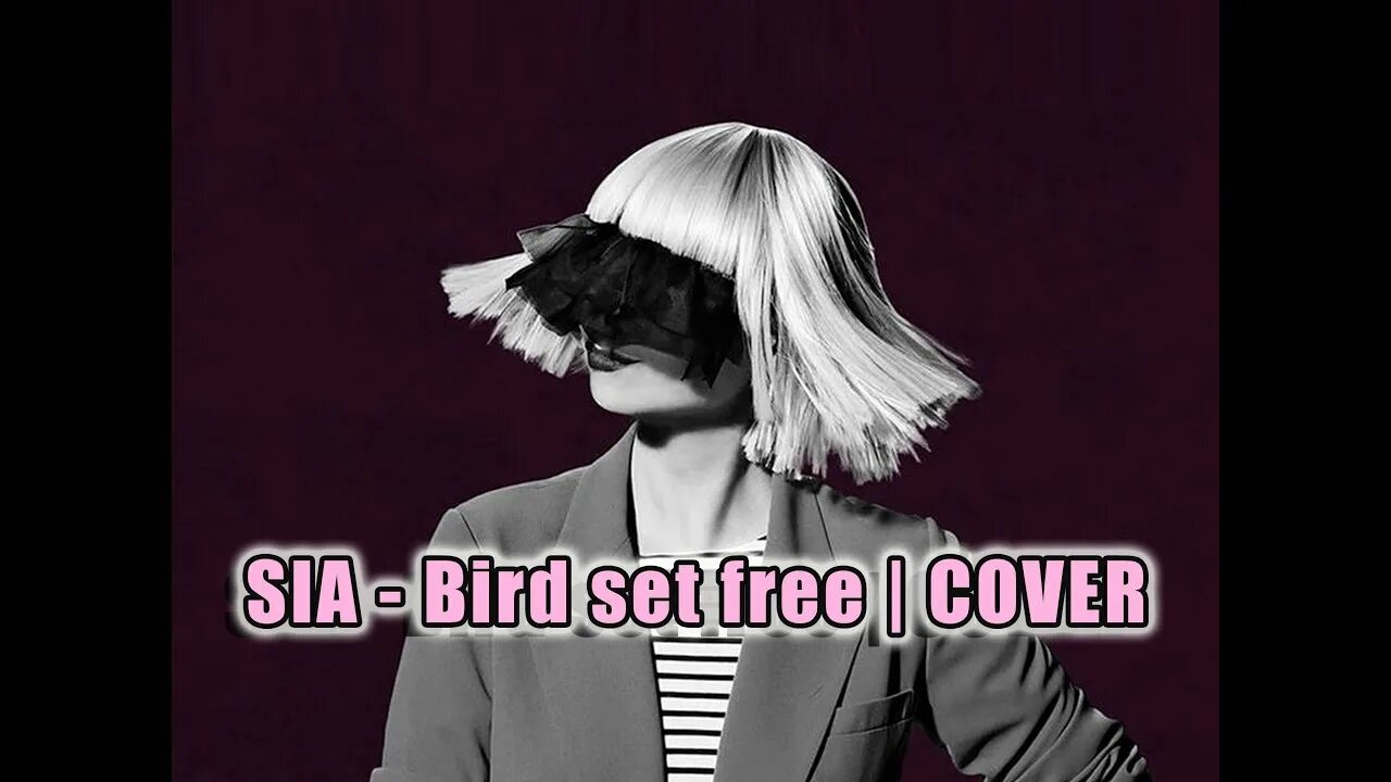 Sia bird. Sia. Sia Bird Set. Sia Music обложка.