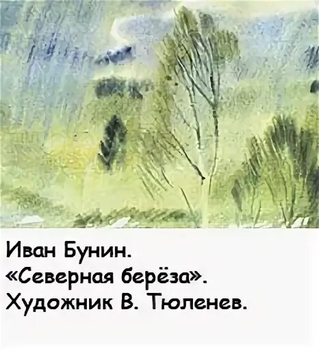 Стихотворение бунина береза. Бунин Северная береза. Стихотворение Бунина Северная береза. Стих Бунина Северная береза иллюстрация.