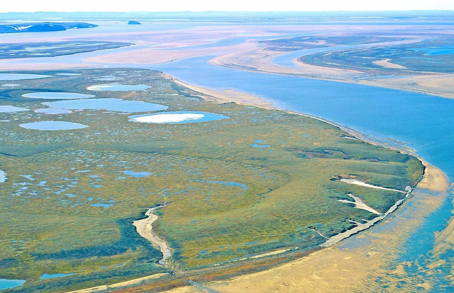 Впадение реки обь в карское море. Река лена якутия ленские столбы. Река устье дельта лена. Впадение лены в море лаптевых. Национальный парк “ленские столбы”, якутия.