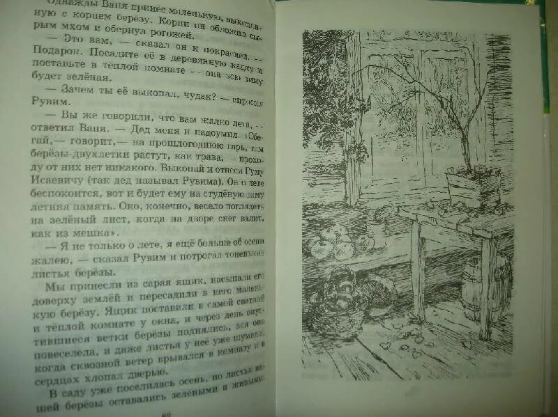 Иллюстрация к рассказу заячьи лапы. Рисунок по рассказу заячьи лапы. Заячьи лапы читательский дневник. Заячьи лапы Паустовский план 5 класс. Рассказ паустовского читательский дневник