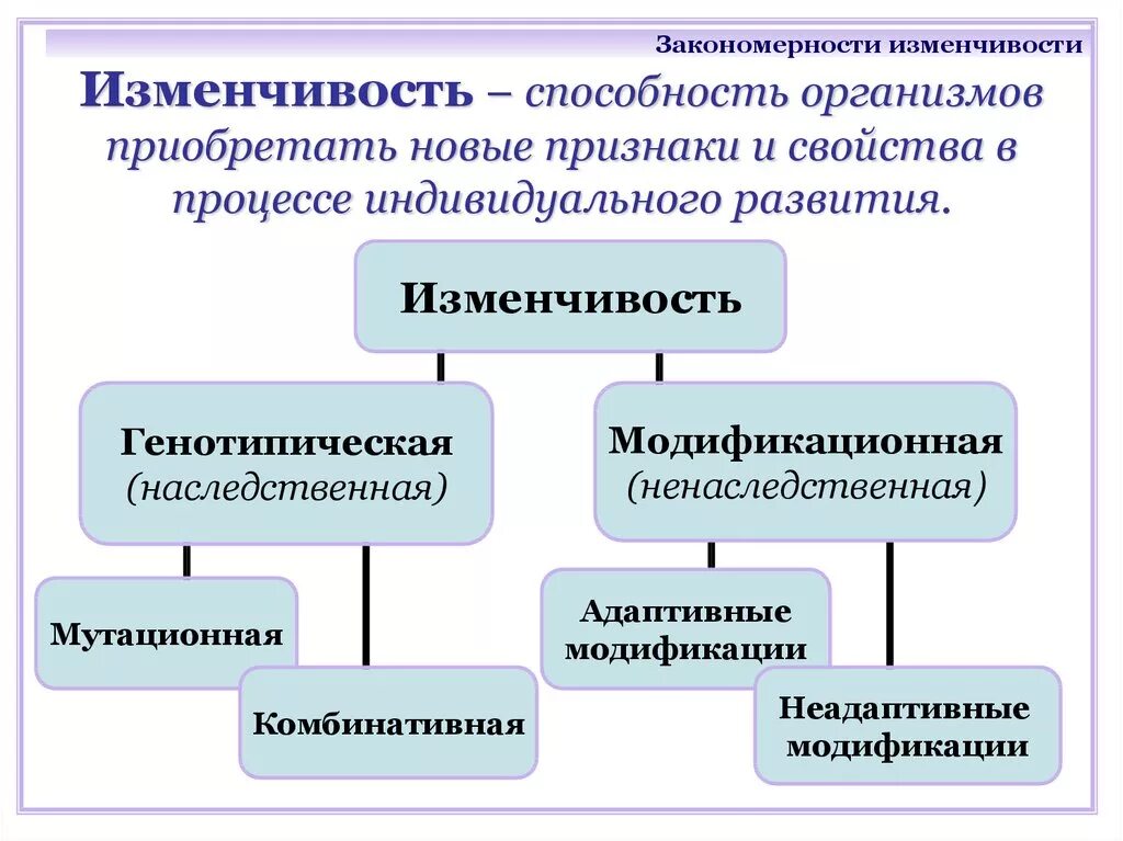 Закономерности изменчивости. Закрномерностиизменчивости. Основные закономерности изменчивости. Закономерности изменчивости организмов. Закономерность наследственной изменчивости