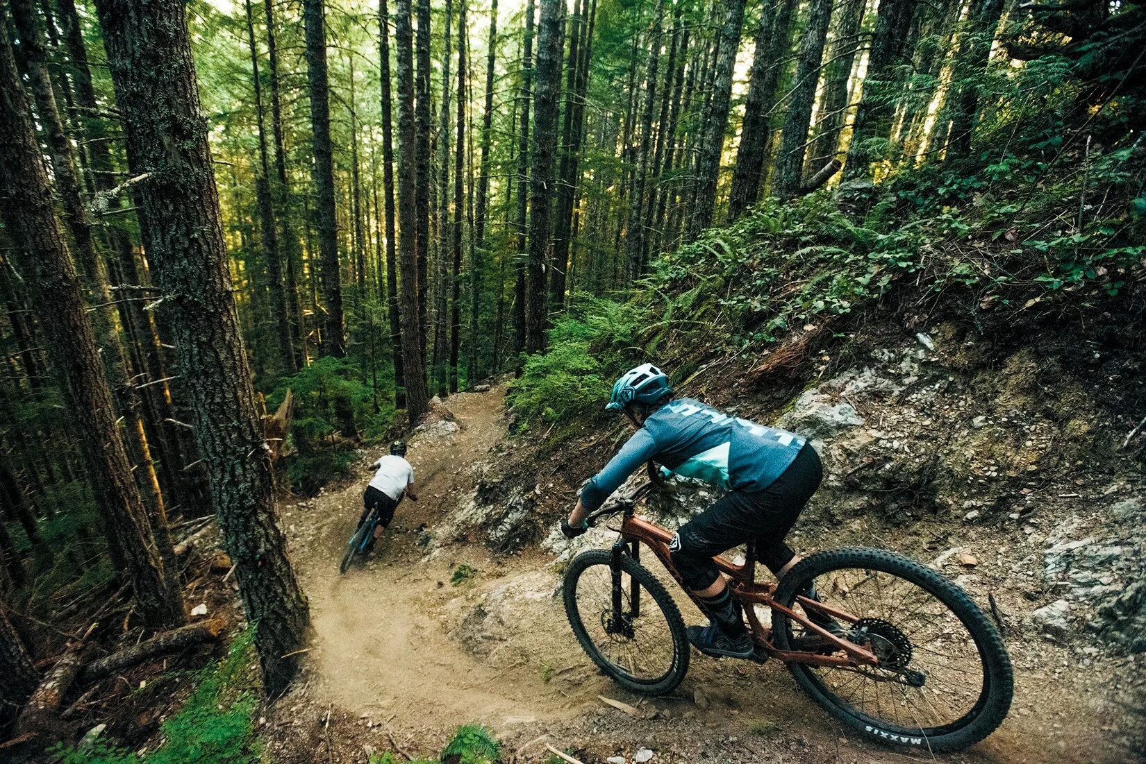 Ездили в лес. Трейл mtb. велотрассы даунхилл. трейл mtb в лесу. велосипед в лесу.