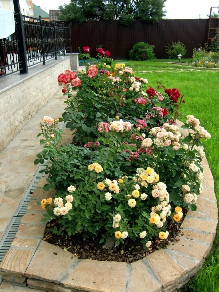 Pin on Сад Rose garden design, Shade landscaping, Front yard landscaping