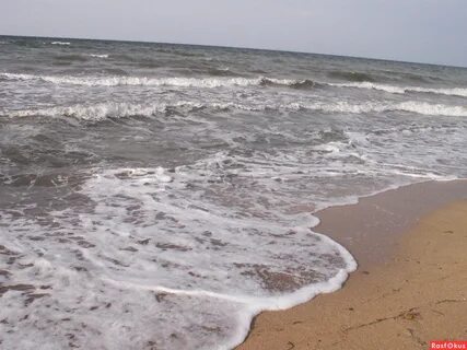 Азовское море темрюк