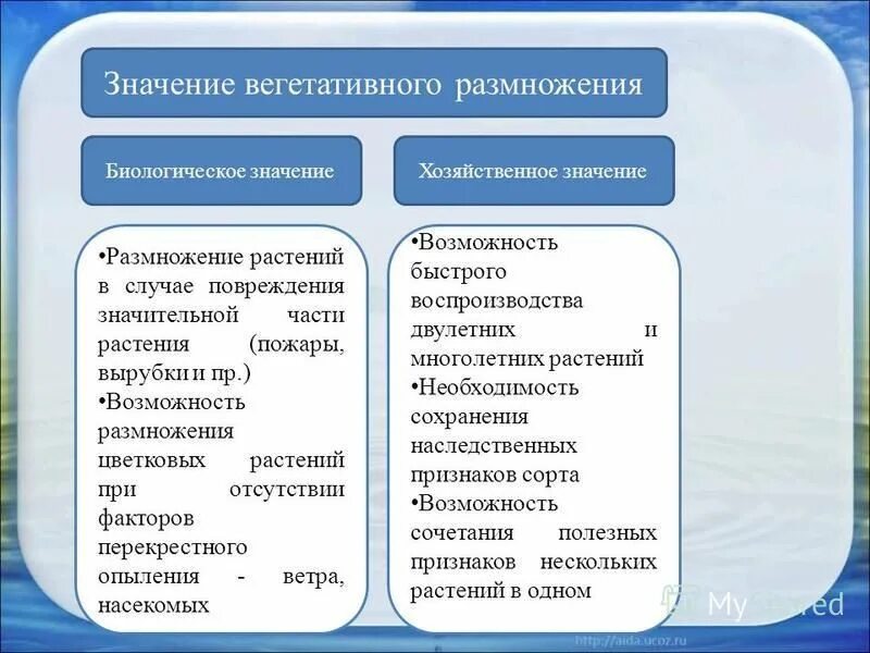 Что означает вегетативный. Значение вегетативного размножения. Значение вегетативного растения.