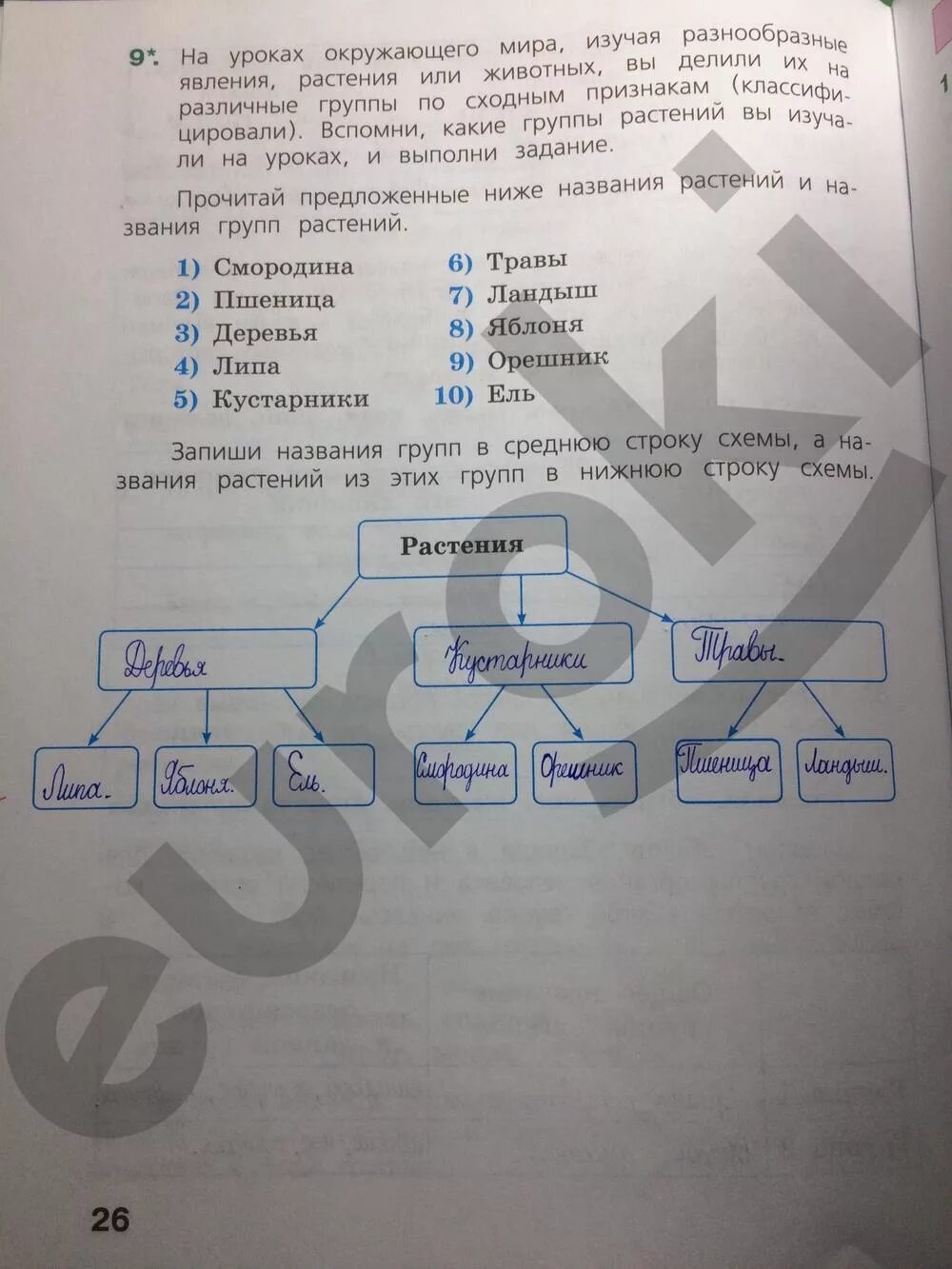 Пример впр по окружающему миру 4 класс. ВПР окружающий мир. ВПР по окружающему задания. Задание по ВПР 4 класс по окружающему миру. Рабочая тетрадь ВПР 4 класс окружающий мир ответы.