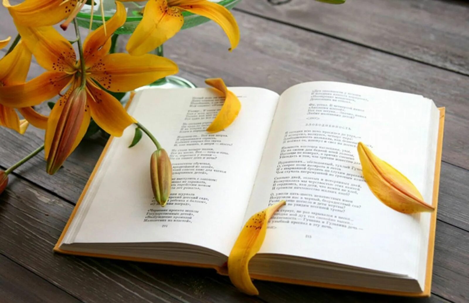 Сборник стихов. Стихи книга. Сборник стихов русских поэтов о природе. Стихотворения александра пушкина книга. Книги со стихами некрасова.