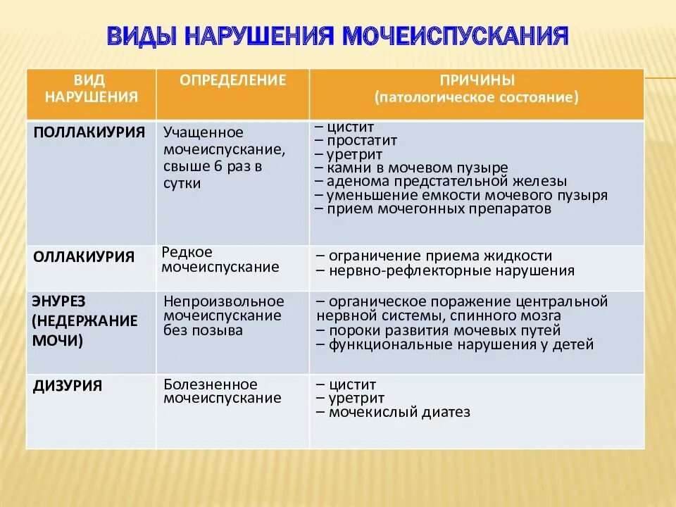 Каковы причины нарушения работы почек. Основные виды нарушения мочевыделения. виды мочеиспускания. расстройства мочеиспускания виды. формы нарушения мочеиспускания.