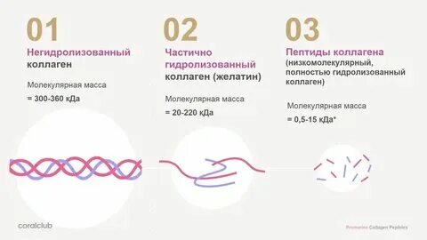 Чем можно дешевле заменить коллаген Картинки ЧЕМ ЗАМЕНИТЬ КОЛЛАГЕН