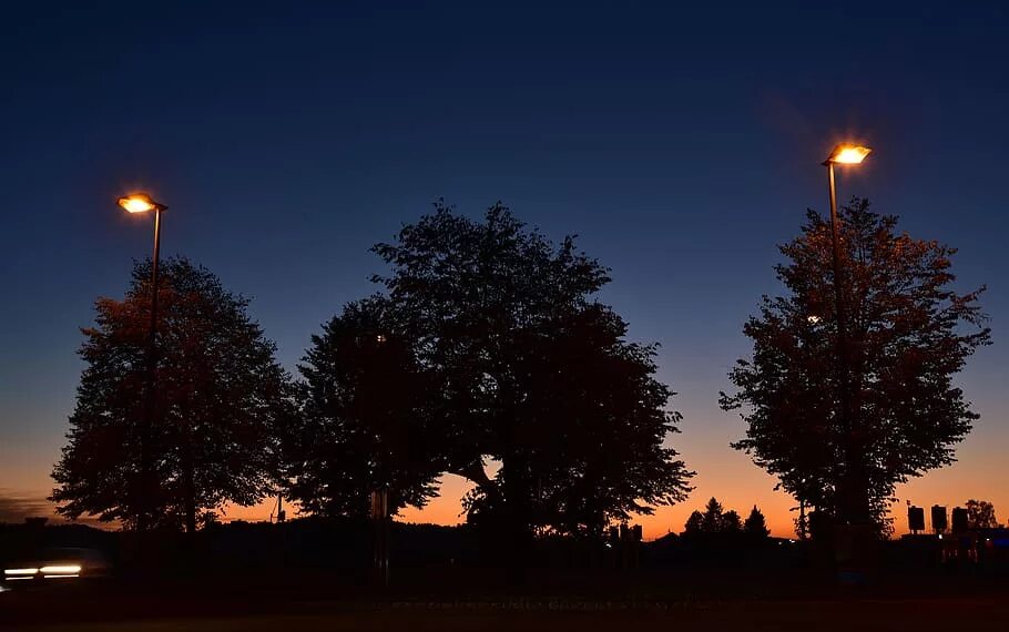 Фонари на деревьях. Синий час в фотографии. Голубой час в фотографии. Evening Light.