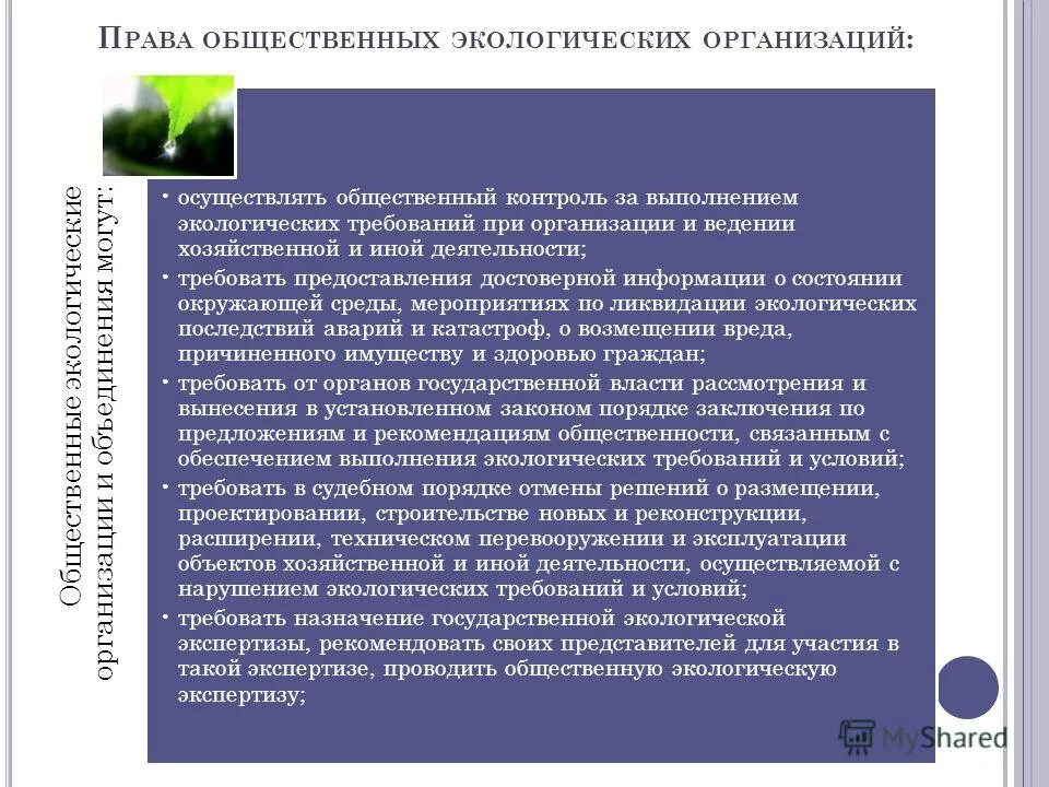 В течение какого времени хозяйствующий объект. Экологический контроль на предприятии. Формы общественного экологического контроля. Субъекты проведения эколог контроль. Общественные экологические организации.