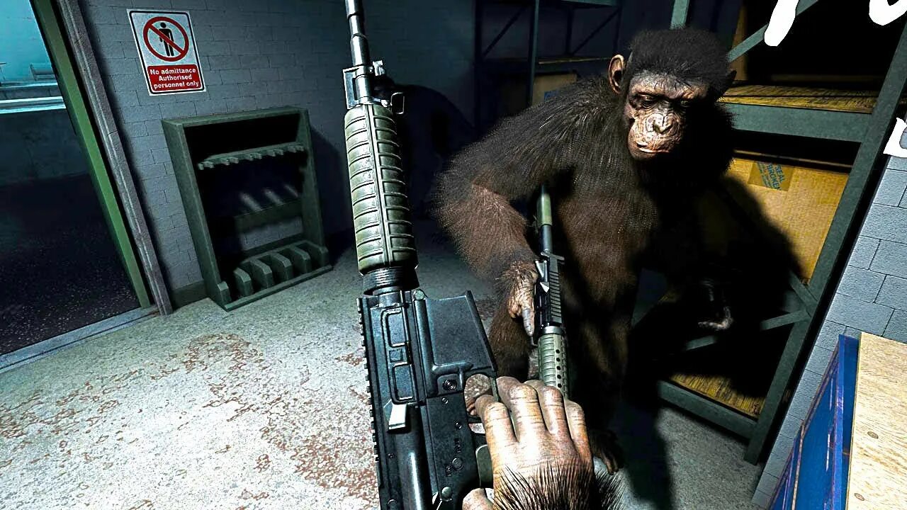 Lethal ape. Crisis on the planet of the apes. crisis on the planet of the apes vr. planet of the apes ps1. kingdom of the planet of the apes.
