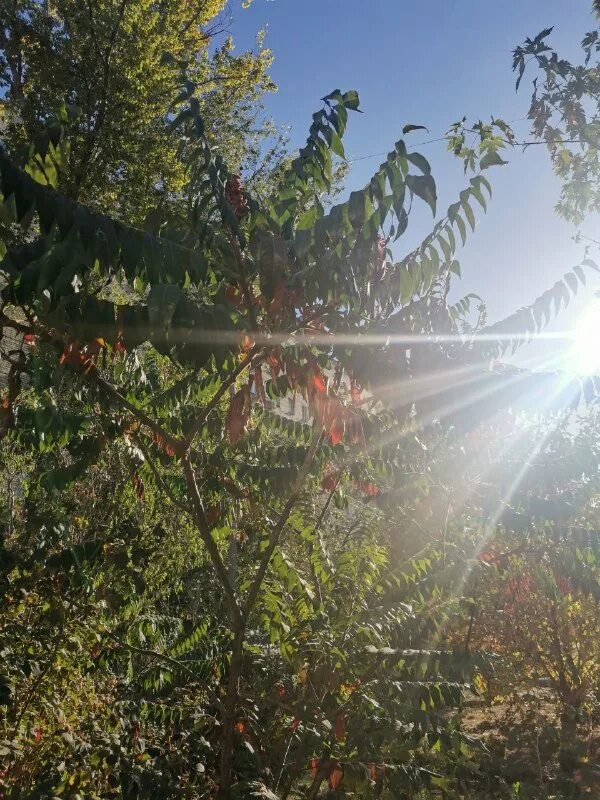 облака внезапно закрывают солнце огэ. пасмурно с прояснениями. облака внезапно закрывают солнце огэ. облака внезапно закрывают солнце огэ. фото человек и небо пасмурное.