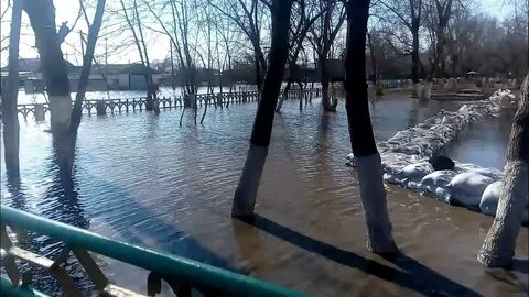 Залили школу