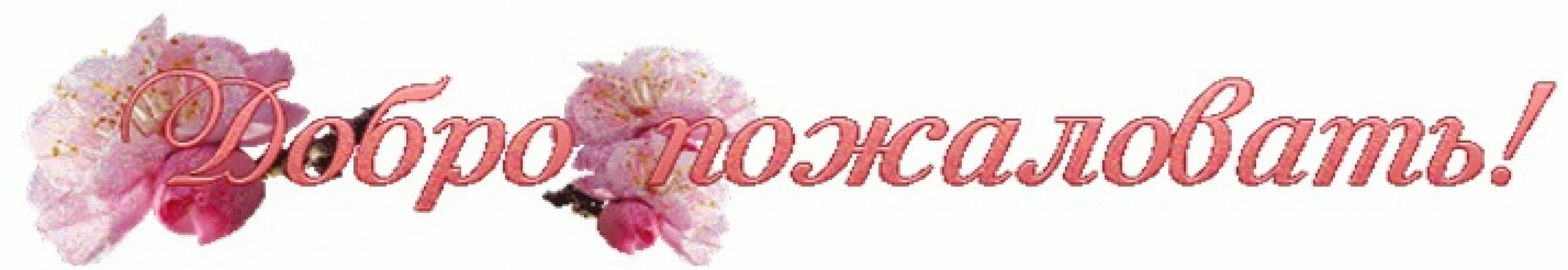 Приветствую надписи