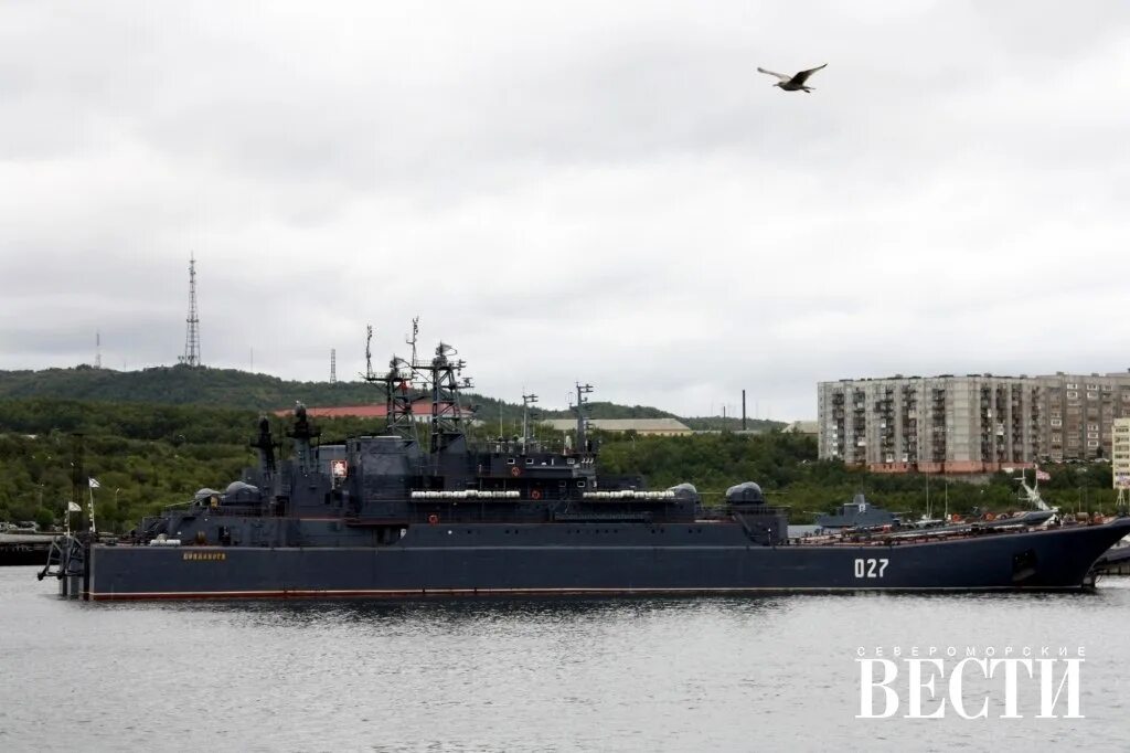 Больница сан фиерро самп. Калининградская база экспедиционного флота. Форум сф. Форум сф. Сф на миду.