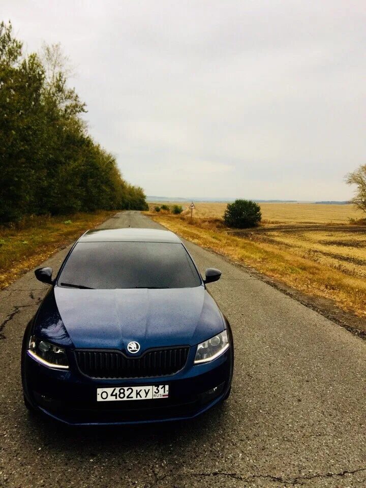 Skoda octavia a7 black. Skoda Octavia a8 черная. Skoda Octavia a7 RS черная. Skoda Octavia Black Edition 2015.