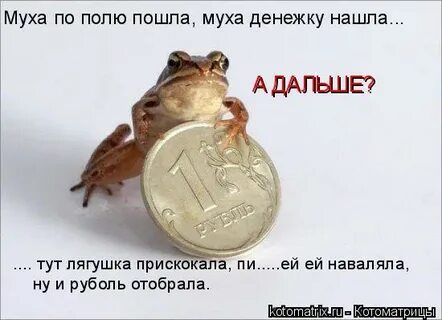 Муха денежку нашла
