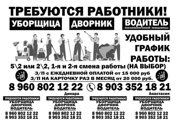 Биржа труда уборщица. Требуется дворник и уборщица. требуется уборщица. требуется уборщица подработка. объявление дворник.