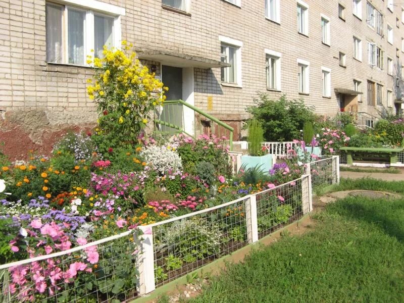 Палисадник в городе. Клумба бабушкин палисадник. палисадник возле мкд. северное бутово лучший двор палисадник. клумба у подъезда.