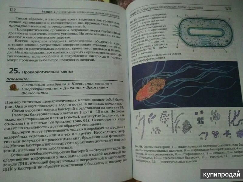 Биология 9 класс учебник учебник. Ген биология 9 класс