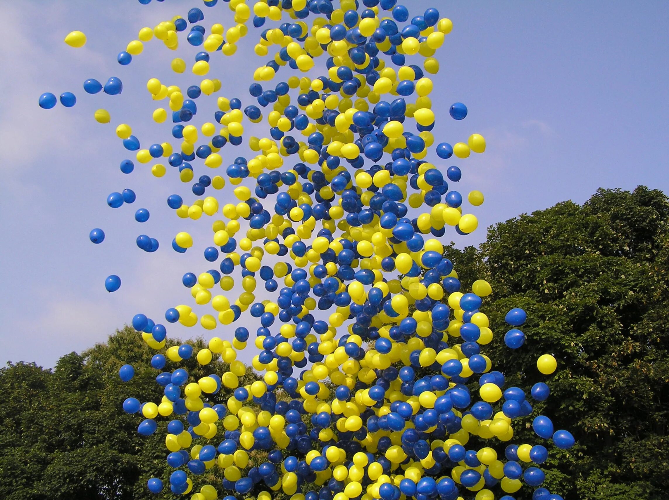Выпустили в небо шары. Желто синие шары. Шарики голубые и желтые. Шары в сине желтом цвете. Желтые шары в небе.