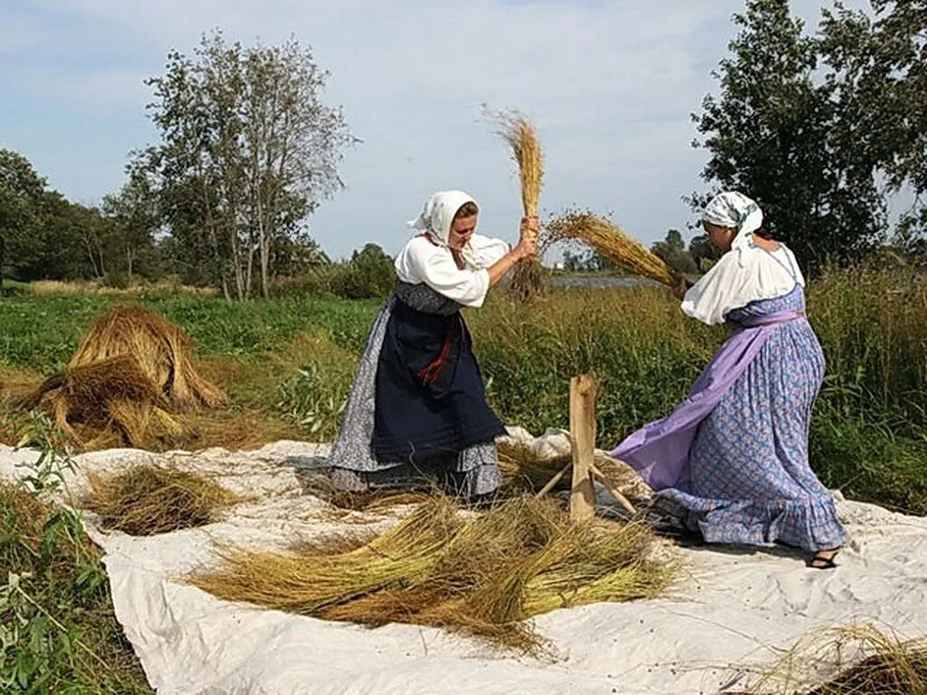 Где сушили снопы. Параскева Грязнуха, Параскева пятница. Сычков Мяльщицы льна.