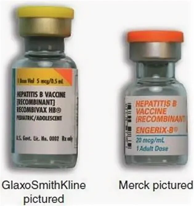 Вакцины от гепатита б энджерикс. Энджерикс прививка.