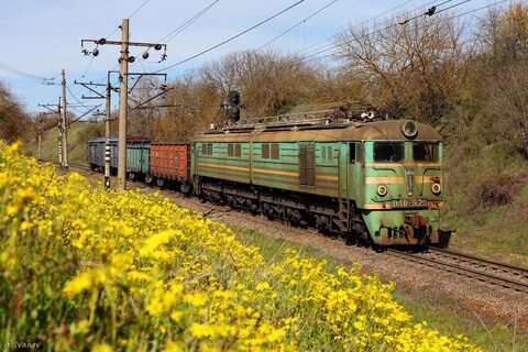 Фото вл8