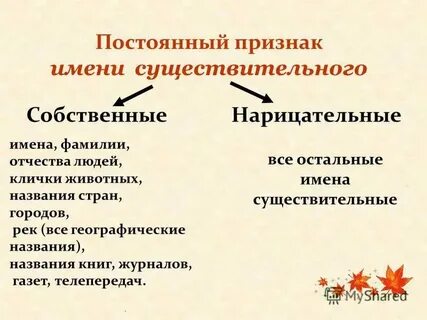Собственное нарицательное постоянный признак