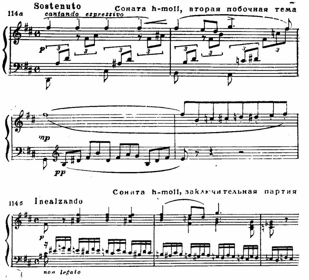 Соната си. Гайдн соната си минор ноты для фортепиано. Ференц лист ноты соната для фортепьяно. Михаил плетнев "сонаты (cd)". Ференц лист соната си минор.