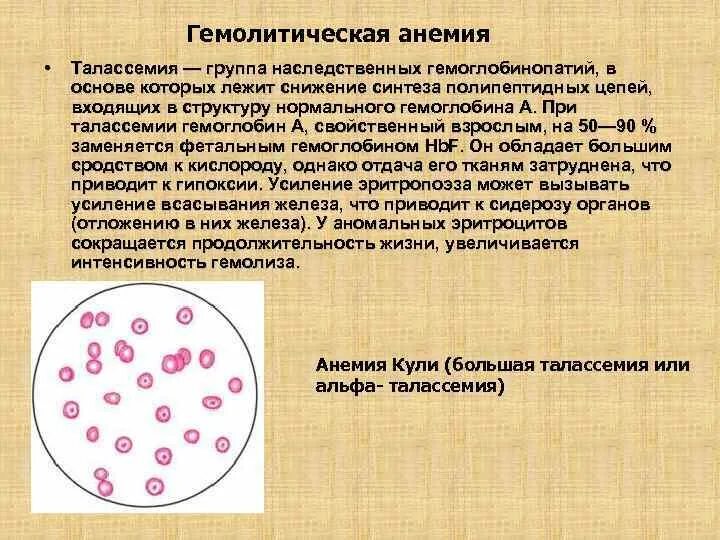 Гемолитическая анемия талассемия. Гемоглобин при гемолитической анемии. Гемолитическая анемия показатели. Гемолитическая анемия схема.