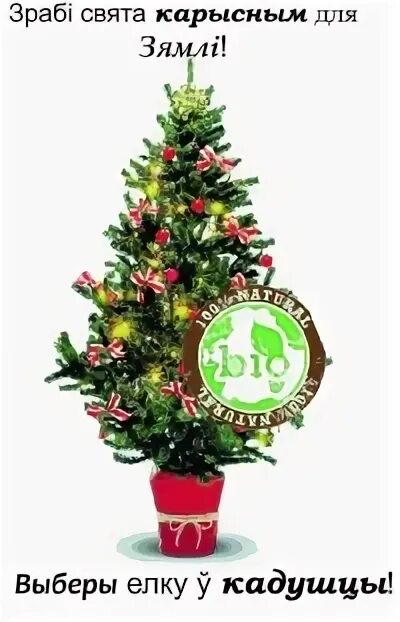 Елки баннер. Оставь елку в лесу. Елка оставь. Открытка на новый год от лесничества. Елка оставь.