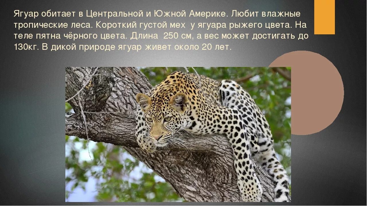 Где можно обитать