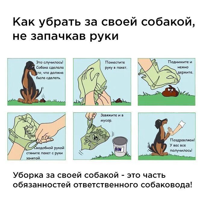 Как их проще убрать. Убирать за собакой. убирайте за собаками. как убрать за собакой. плакат убирайте за собаками.