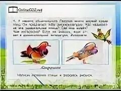 Окружающий мир 3 класс тетрадь стр 62