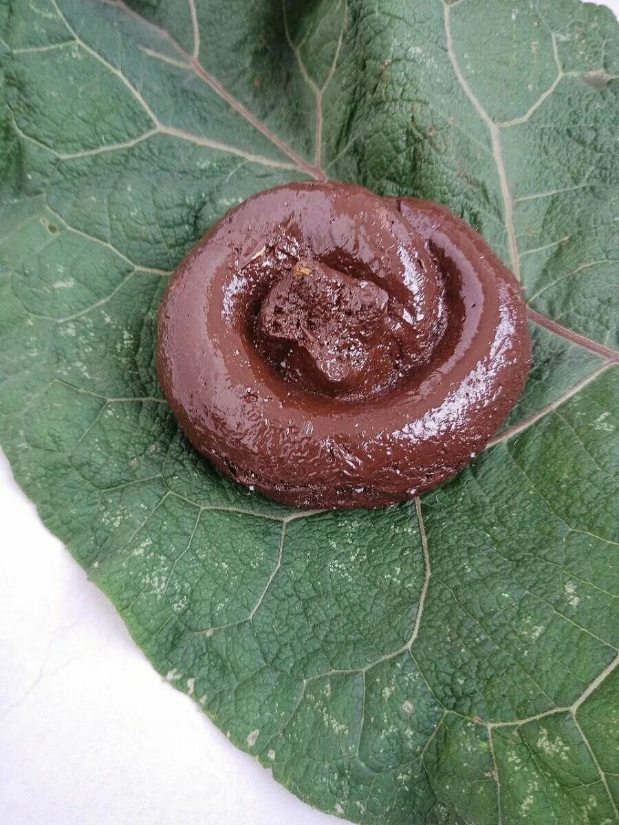 Фотографию настоящей какашки. Подарок в виде какашек. Какашки мыть. Какашки мыть. Какашки мыть.