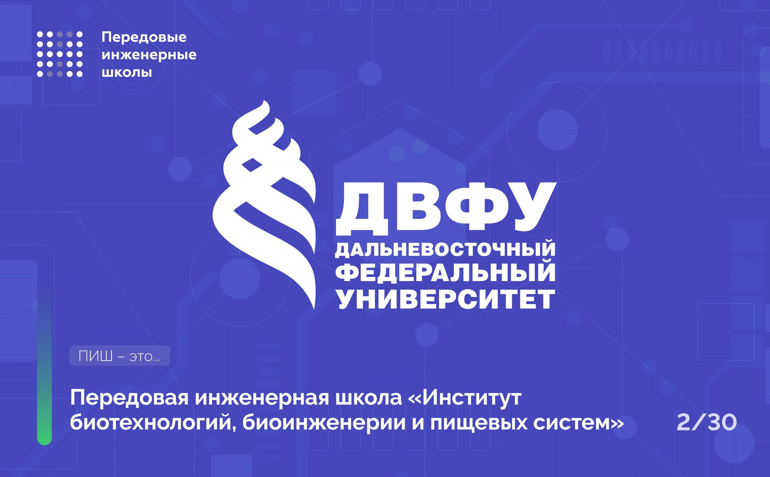 Новое антиопухолевое свойство вещества из кукумарии выявили дальневосточные учен